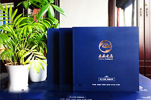 互聯(lián)網(wǎng)行業(yè)科技公司、網(wǎng)絡(luò )公司畫(huà)冊設計方法 有創(chuàng  )意有畫(huà)面！