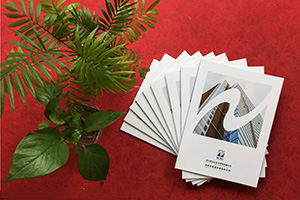 高大上的企業(yè)畫(huà)冊設計怎么做 通常的畫(huà)冊設計步驟有哪些？