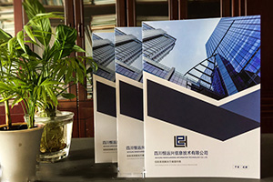 欣賞企業(yè)畫(huà)冊設計案例 分析專(zhuān)業(yè)的畫(huà)冊設計方法有哪些技巧？