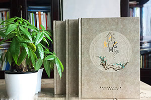 品牌設計包括哪些