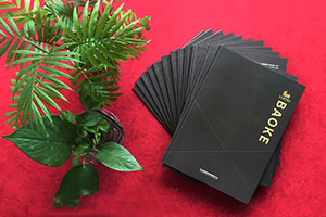 成都畫(huà)冊設計公司 具有專(zhuān)業(yè)的畫(huà)冊創(chuàng  )意設計方向！