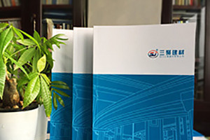 【畫(huà)冊設計類(lèi)型】畫(huà)冊設計分類(lèi)有哪些