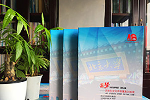 企業(yè)畫(huà)冊設計看這5大設計畫(huà)冊原則 畫(huà)冊設計公司優(yōu)秀設計