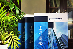 企業(yè)宣傳畫(huà)冊設計主要有哪些內容板塊