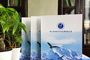 畫(huà)冊設計分類(lèi) 畫(huà)冊設計類(lèi)型主要有哪些