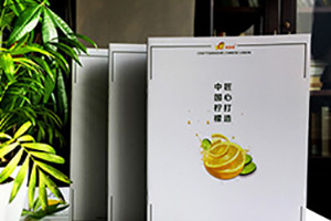 企業(yè)畫(huà)冊設計要注意什么 畫(huà)冊設計技巧篇二