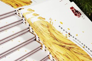 聚會(huì )紀念冊之個(gè)性同學(xué)錄紀念冊設計