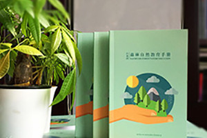 專(zhuān)業(yè)畫(huà)冊設計公司的畫(huà)冊設計初步方案策劃怎么寫(xiě)