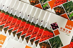 企業(yè)內刊設計方法 幫助內刊設計發(fā)揮重要作用