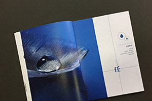 【企業(yè)內刊】?jì)瓤瘎?chuàng  )刊詞怎么寫(xiě)