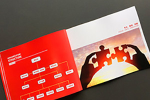 企業(yè)畫(huà)冊印刷工藝的注意事項、印刷知識