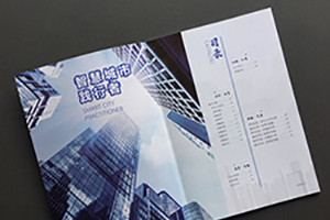 一本優(yōu)秀畫(huà)冊設計的板塊和版式設計