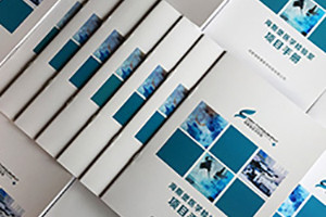 優(yōu)秀畫(huà)冊設計 不同行業(yè)、不同企業(yè)畫(huà)冊設計的重點(diǎn)與特點(diǎn)分析