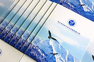 企業(yè)畫(huà)冊設計思路、理念有哪些重要的設計原則？