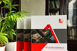 個(gè)性畫(huà)冊定制設計印刷 畫(huà)冊創(chuàng  )意設計有方法！