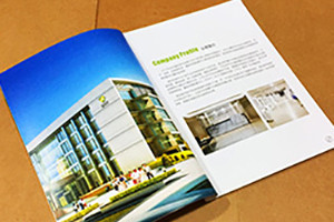 美容院畫(huà)冊設計 美容醫院宣傳冊設計怎么做更吸引人？