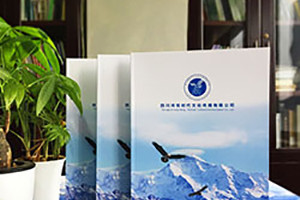 企業(yè)宣傳冊怎么制作更好 從企業(yè)宣傳畫(huà)冊的意義和重要入手