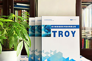 企業(yè)宣傳冊文案設計技巧、文案內容設計方法具備的特點(diǎn)