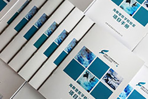 專(zhuān)業(yè)的企業(yè)畫(huà)冊文案策劃與設計 如何更加成功的設計文案？