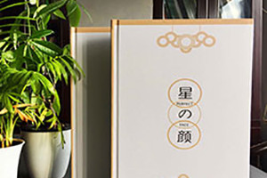 畫(huà)冊的設計風(fēng)格類(lèi)型 歐美風(fēng)格畫(huà)冊設計該怎么做