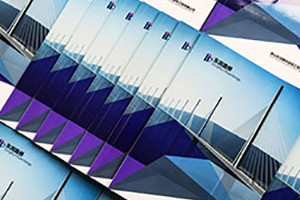 企業(yè)宣傳冊設計如何做 才能達到優(yōu)秀的畫(huà)冊設計欣賞效果？