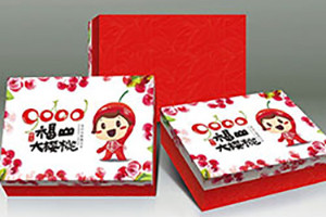 成都包裝設計的實(shí)用性和美觀(guān)性 其實(shí)選對包裝設計公司就成功了一半