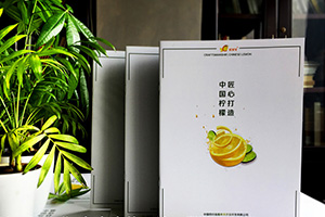 水果店鋪宣傳冊設計的必備技巧 讓水果說(shuō)話(huà)的制作方法