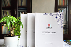 企業(yè)產(chǎn)品畫(huà)冊設計技巧 具有宣傳價(jià)值的產(chǎn)品手冊設計思路與方法