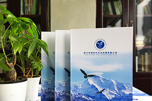 不同企業(yè)的畫(huà)冊設計的規劃技巧 針對性的畫(huà)冊設計更具現實(shí)意義