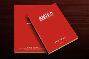 房地產(chǎn)宣傳冊設計 制作精美的房產(chǎn)畫(huà)冊宣傳企業(yè)形象