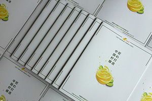 農業(yè)企業(yè)畫(huà)冊設計 農業(yè)公司宣傳冊設計提升企業(yè)知名度！