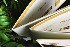 宣傳冊制作 企業(yè)產(chǎn)品宣傳冊制作應該怎么做？