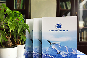 企業(yè)宣傳冊設計的兩大設計方向 找到企業(yè)宣傳冊設計的正確方法！