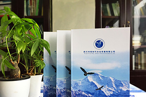 企業(yè)畫(huà)冊策劃與設計 企業(yè)畫(huà)冊策劃公司必須重視畫(huà)冊設計的力量！