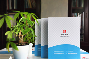 企業(yè)畫(huà)冊設計怎么做？畫(huà)冊制作的通用方法思考
