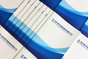 倉儲業(yè)、郵政業(yè)的企業(yè)畫(huà)冊設計特點(diǎn) 為制作優(yōu)秀的倉儲運輸企業(yè)畫(huà)冊