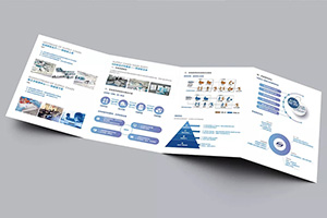 成都宣傳單設計與制作 專(zhuān)業(yè)宣傳單設計公司為你保駕護航！