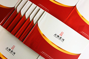 金融行業(yè)畫(huà)冊設計 注重金融企業(yè)的畫(huà)冊設計需求、方案、設計的配合！