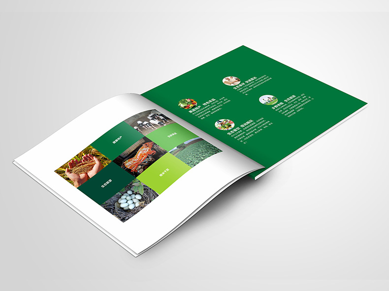 農產(chǎn)品宣傳冊設計 欣賞農產(chǎn)品宣傳冊圖片分析農產(chǎn)品企業(yè)設計特點(diǎn)