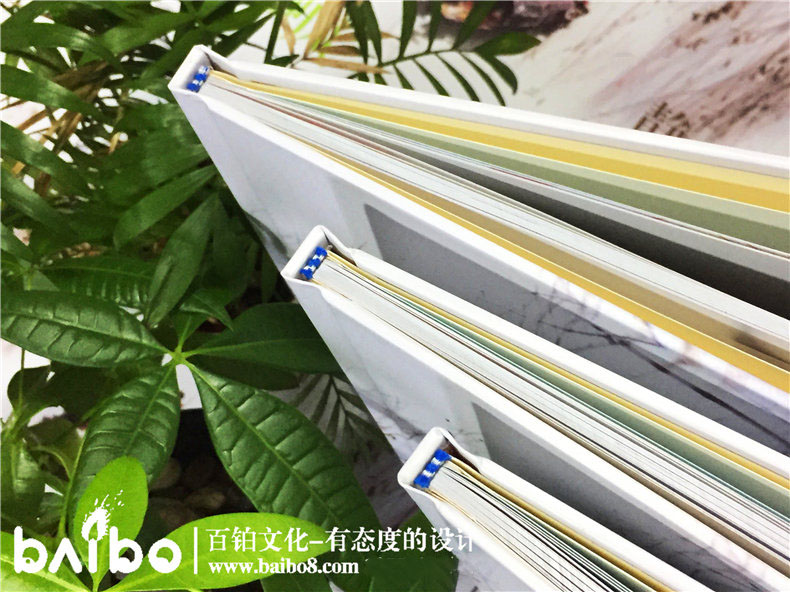 同學(xué)紀念冊設計重點(diǎn)內容有什么