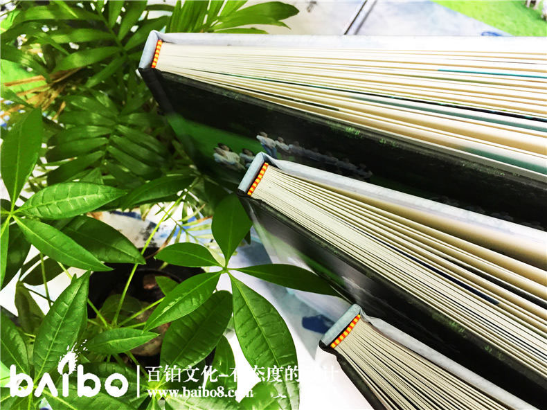 紀念冊照片怎么分類(lèi)