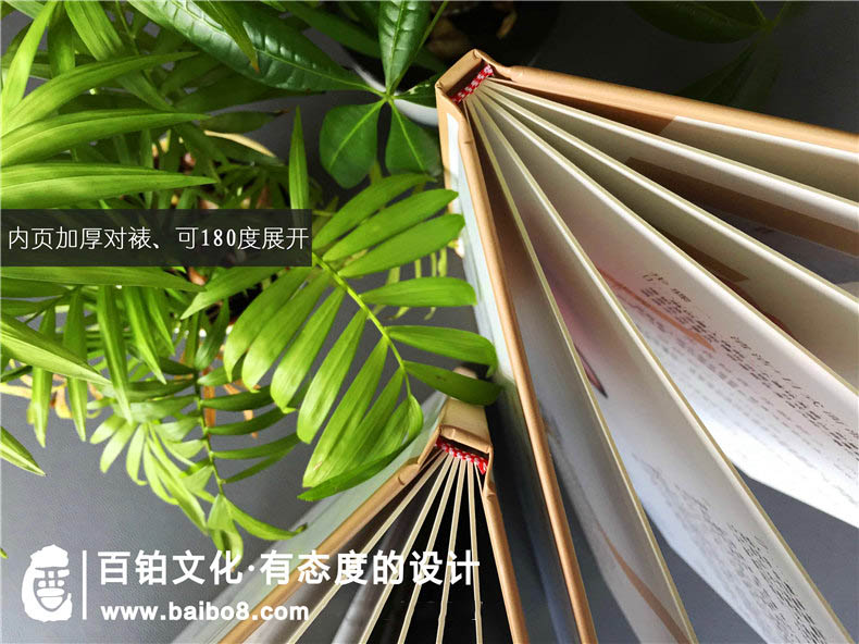 適合美容行業(yè)的畫(huà)冊設計