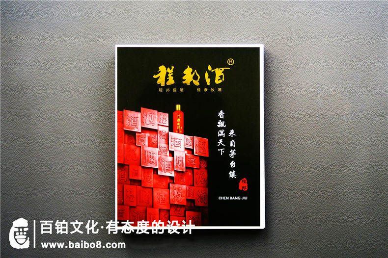 政府招商畫(huà)冊怎么設計