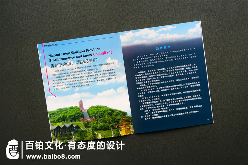 政府招商畫(huà)冊怎么設計