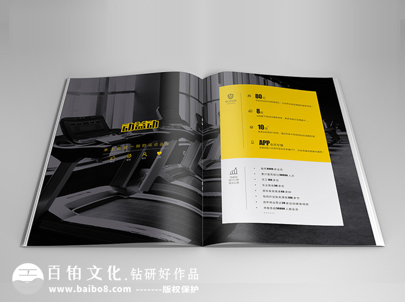 體育畫(huà)冊設計內容