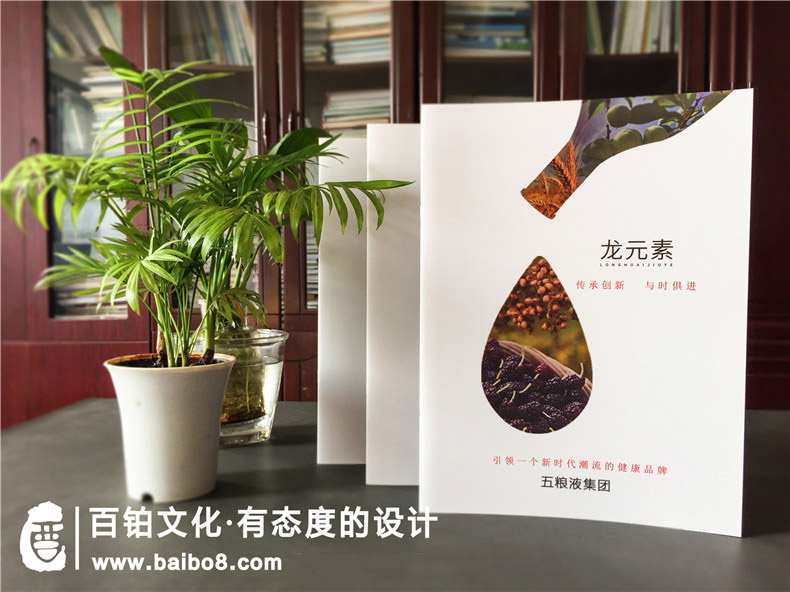 招商畫(huà)冊怎么設計