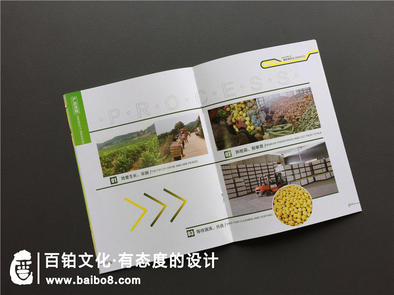 宣傳小手冊怎么寫(xiě)