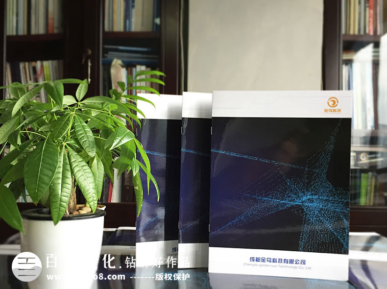 企業(yè)畫(huà)冊的內容目錄